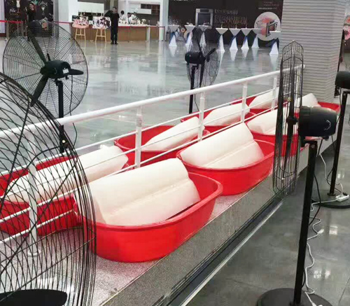 陝西小猪视频APP下载冰塊