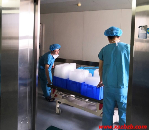 西安小猪视频APP下载冰塊